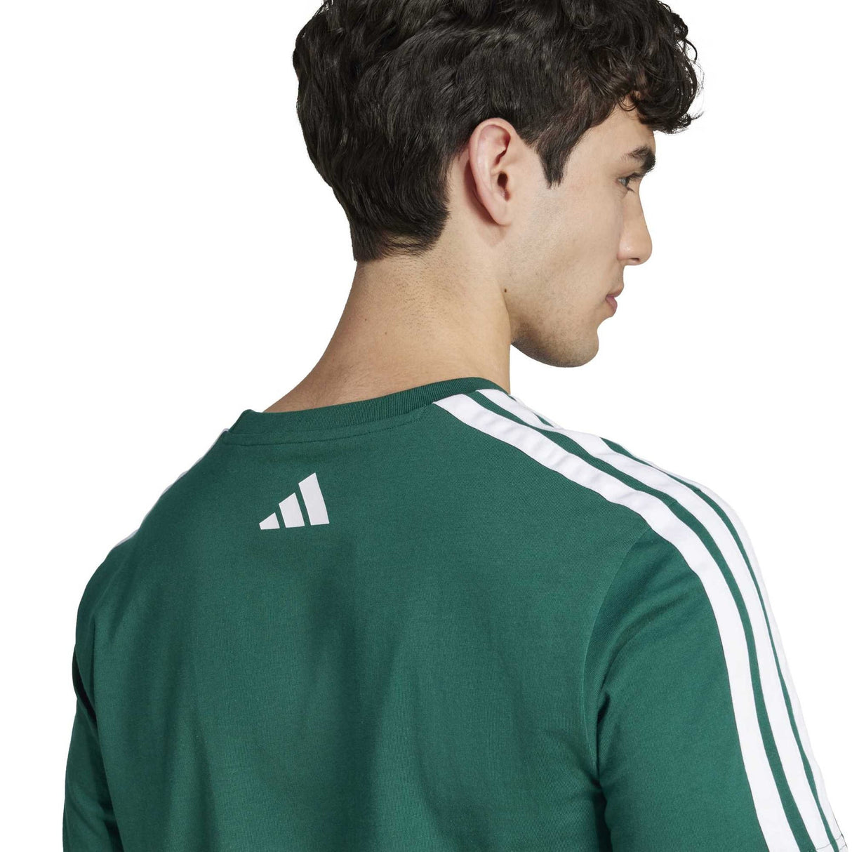 Codes Collegiate Linear Graphic Tee