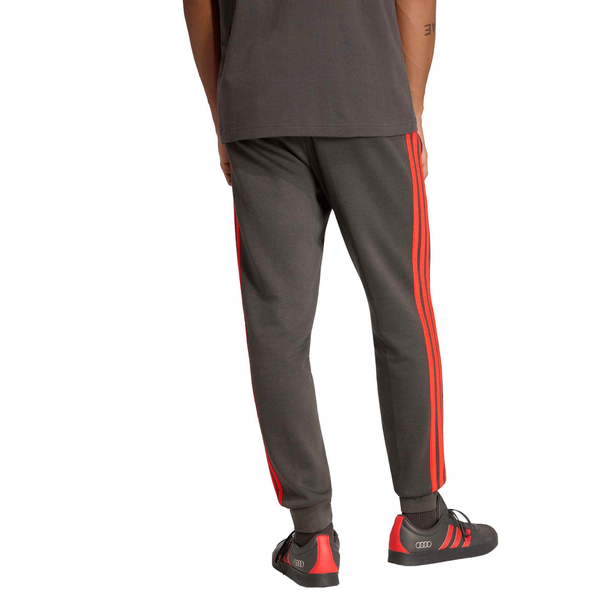 AUDI REVOLUT F1 TEAM DNA PANT