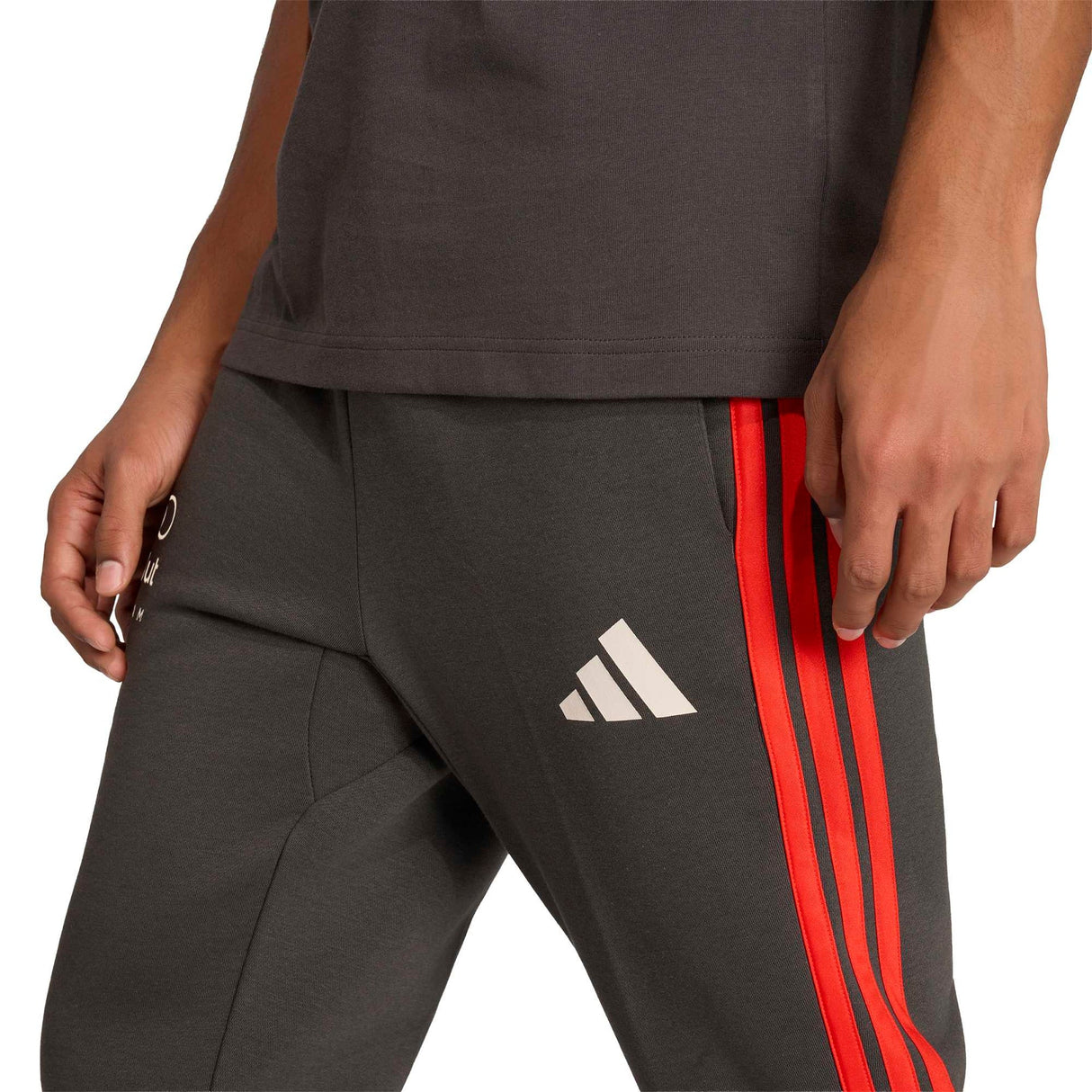 AUDI REVOLUT F1 TEAM DNA PANT