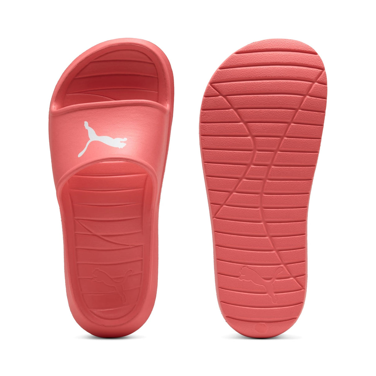 Divecat V2 Lite Slides - Runner