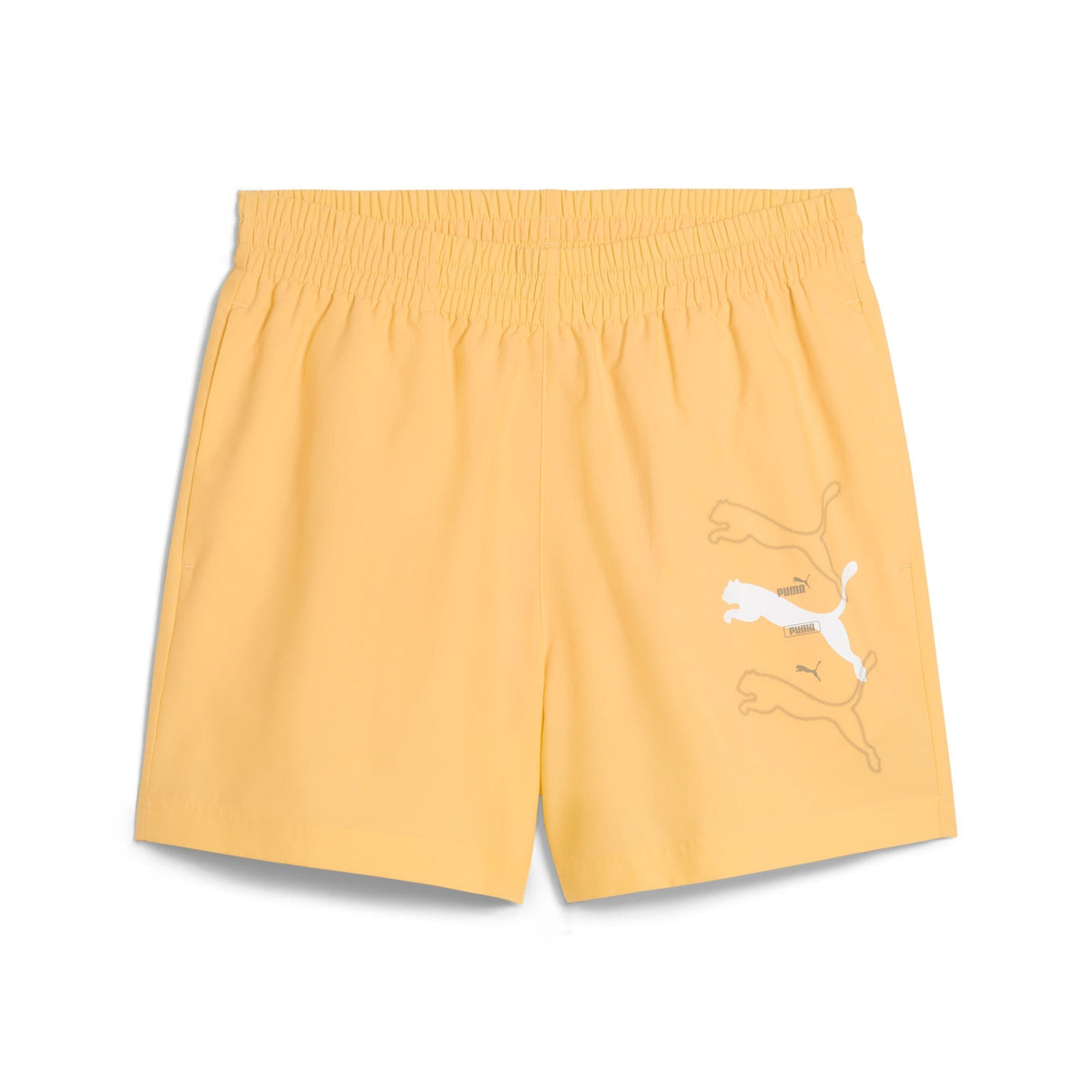 ESS LOGO LAB Puma Lo - Runner