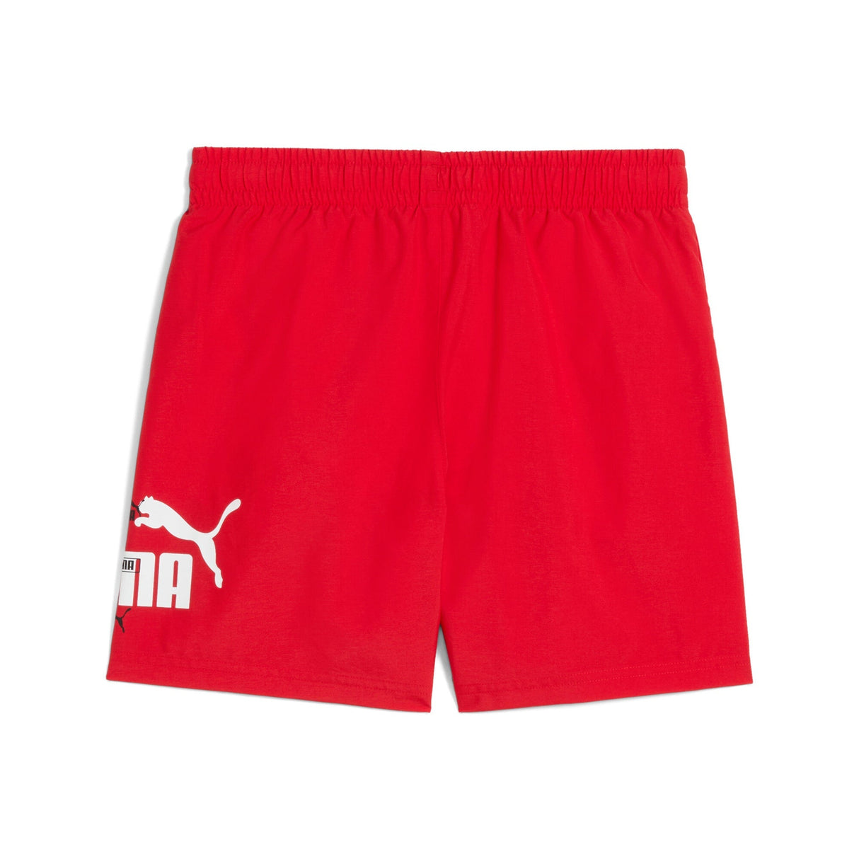 ESS LOGO LAB Summer - Runner