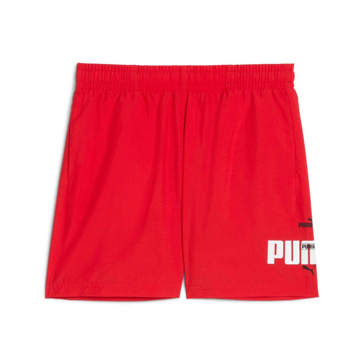 ESS LOGO LAB Summer - Runner