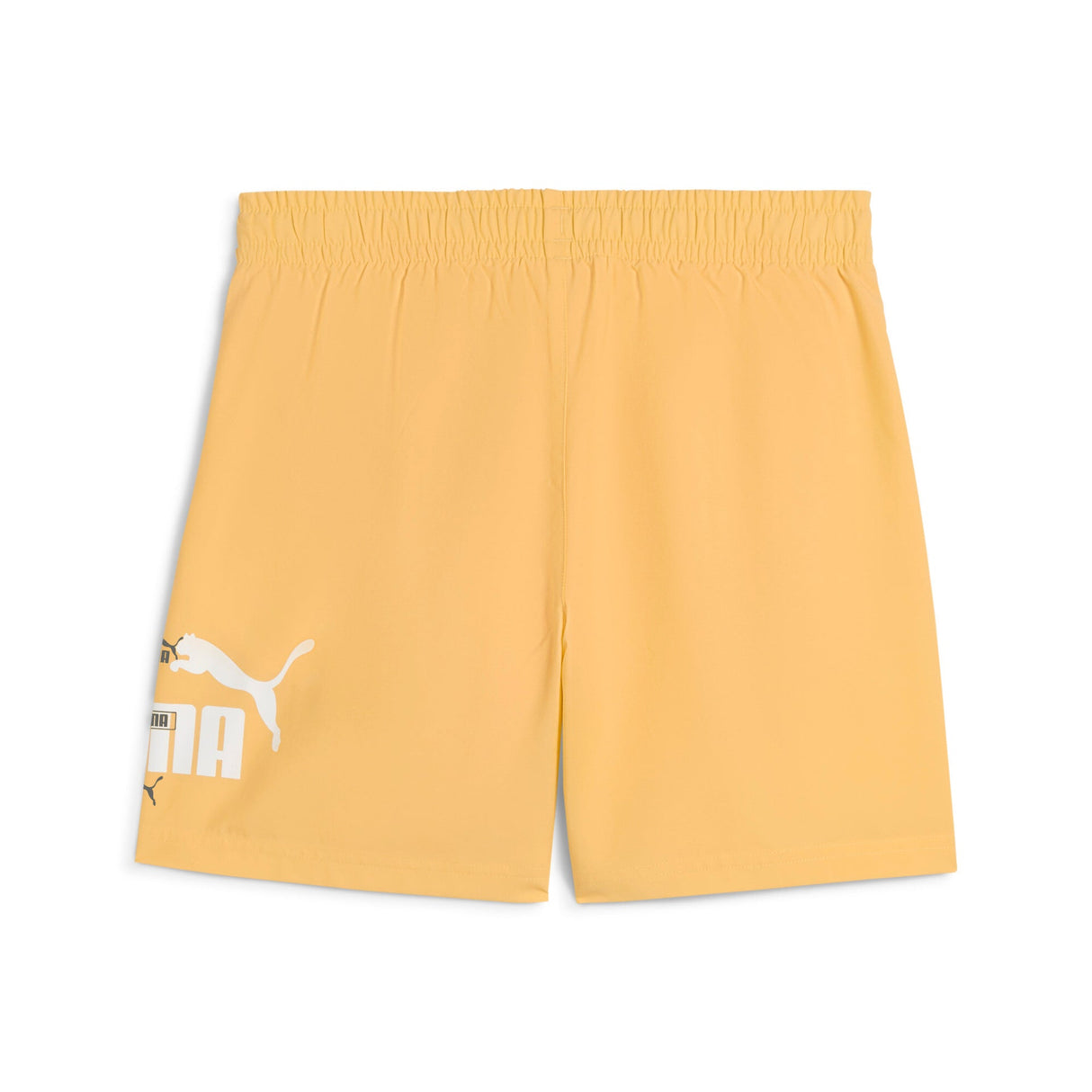 ESS LOGO LAB Summer - Runner