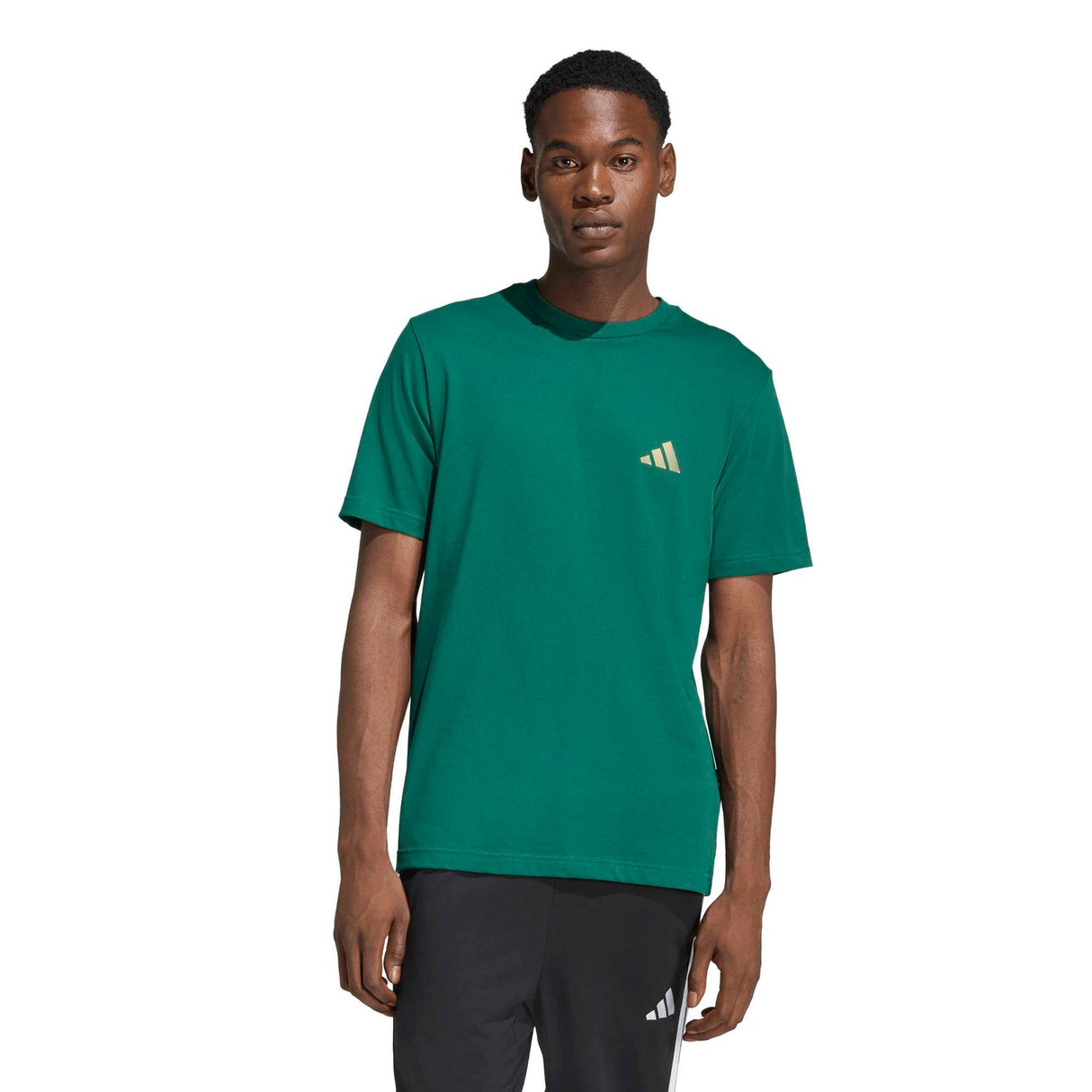 I LIKE THE STRIPES GRAPHIC T - SHIRT - Runner