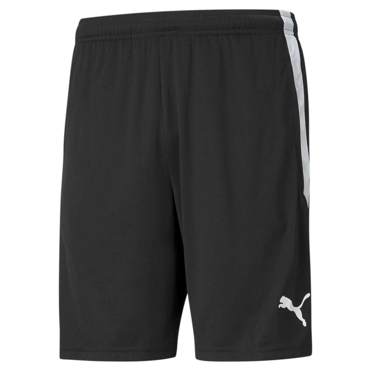 Teamliga Training Shorts - Runner