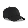 ESS Metal PUMA Cat Baseball Cap Youth