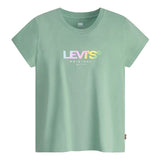 GRAPHIC AUTHENTIC TSHIRT