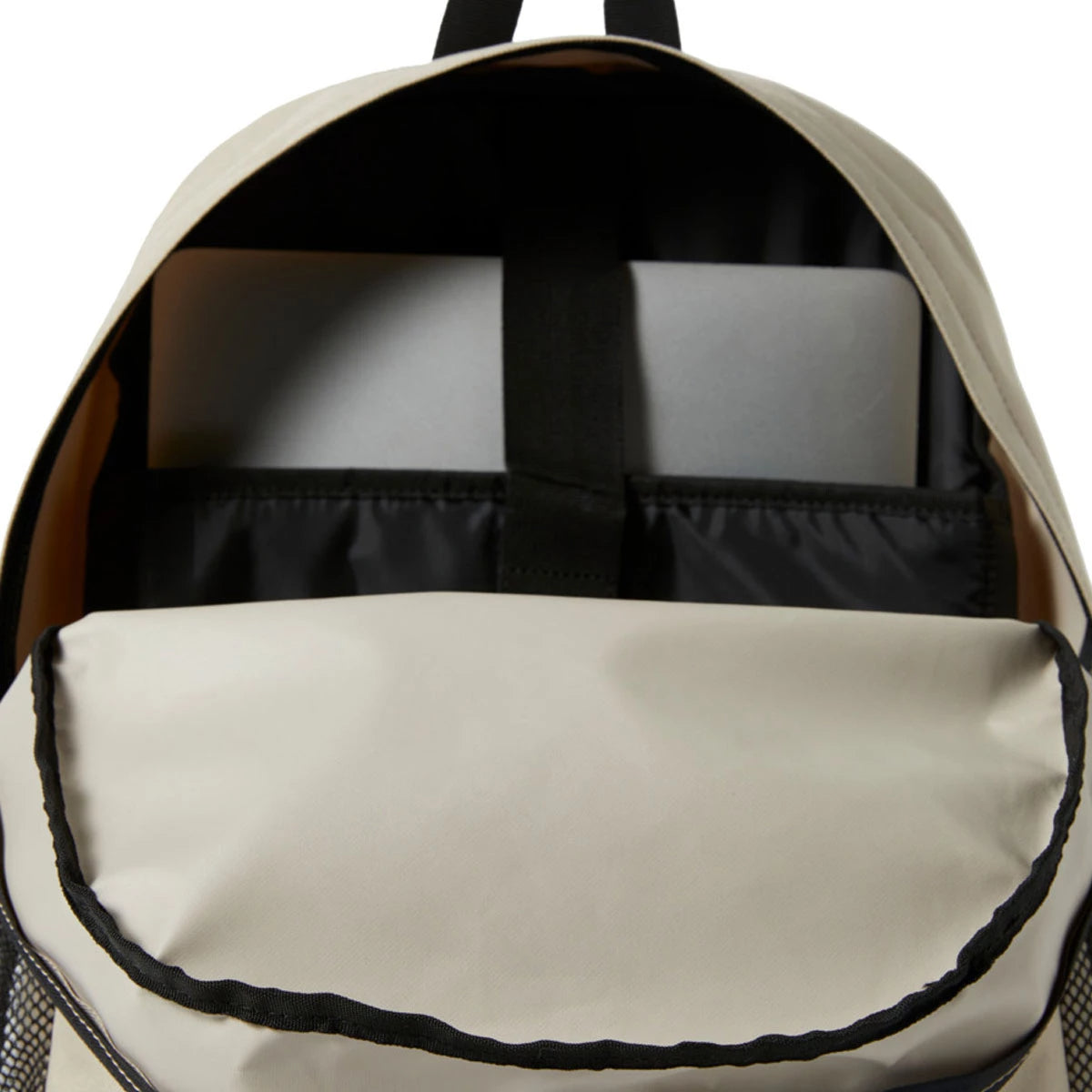 DC Backsider Seasonal 4