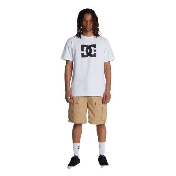 DC TUNDRA  WKST