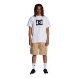 DC TUNDRA  WKST