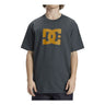 DC DC STAR