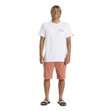 QUIKSILVER MEN SHORTS