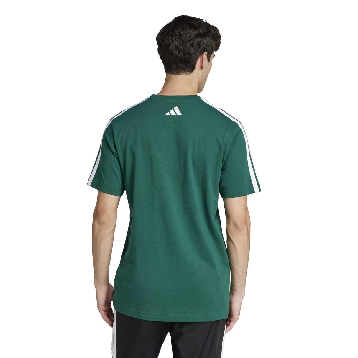 Codes Collegiate Linear Graphic Tee