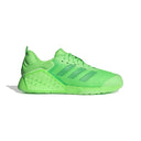 DROPSET 3 TRAINER
