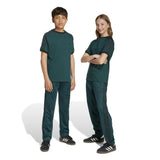 FIREBIRD PANTS