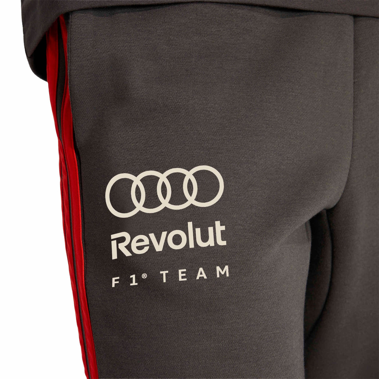 AUDI REVOLUT F1 TEAM DNA PANT