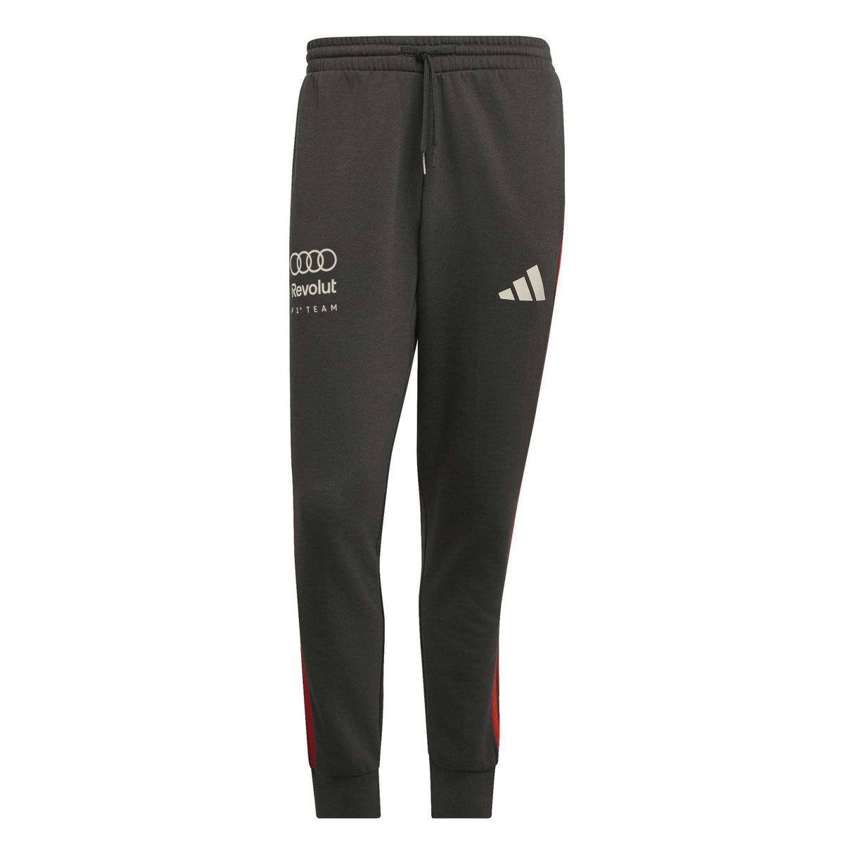 AUDI REVOLUT F1 TEAM DNA PANT