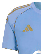 Al Ahly 25/26 Third Jersy