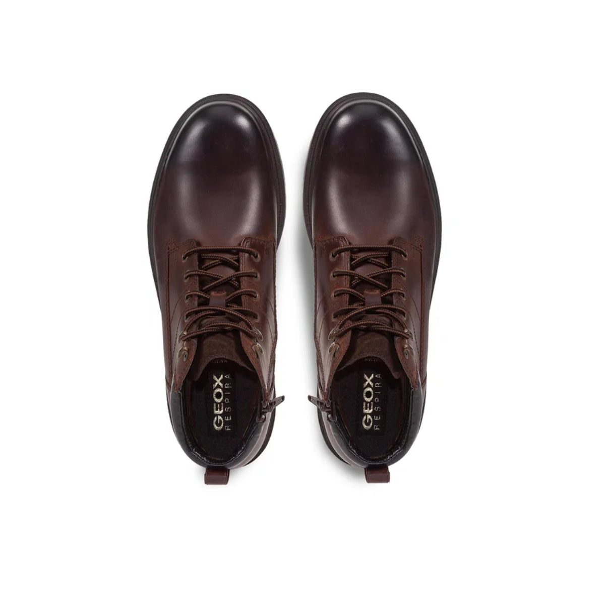 GEOX Ankle Boots U Andalo