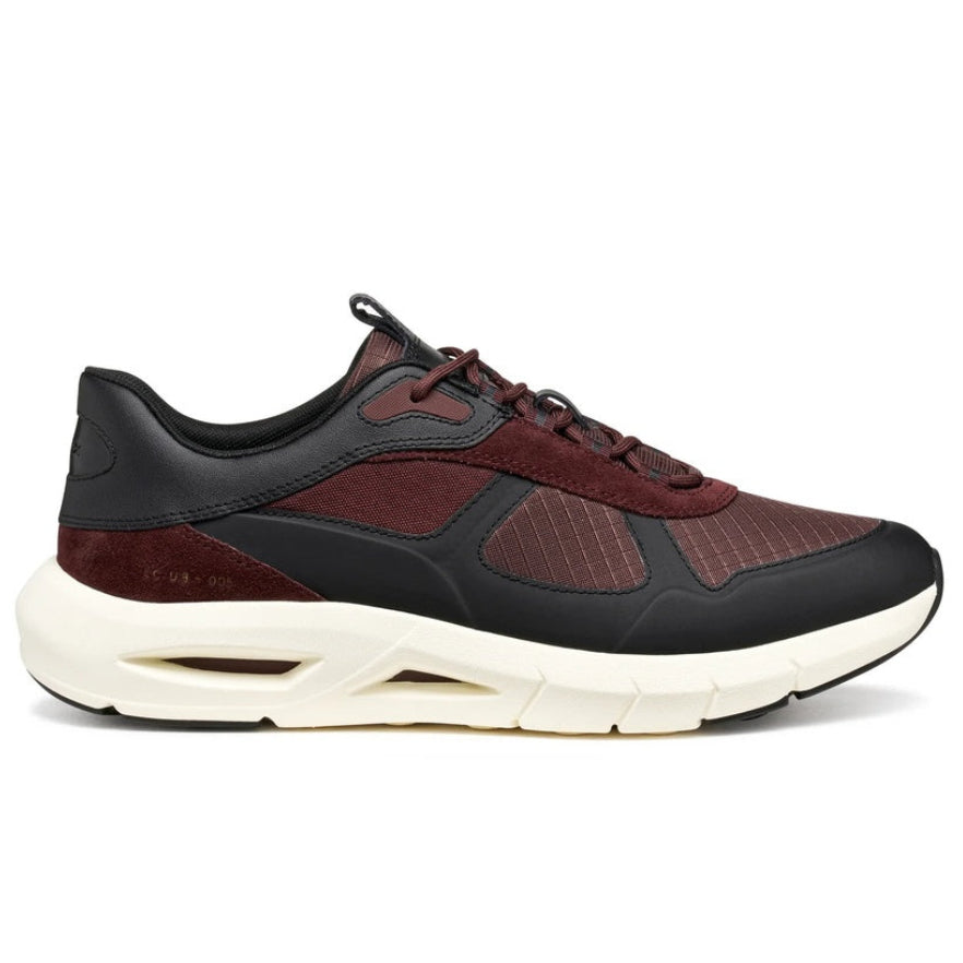 GEOX Spherica Ecub-5