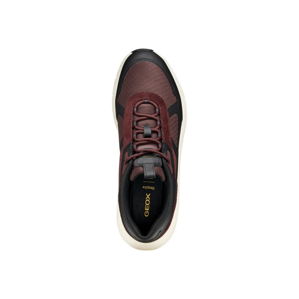 GEOX Spherica Ecub-5
