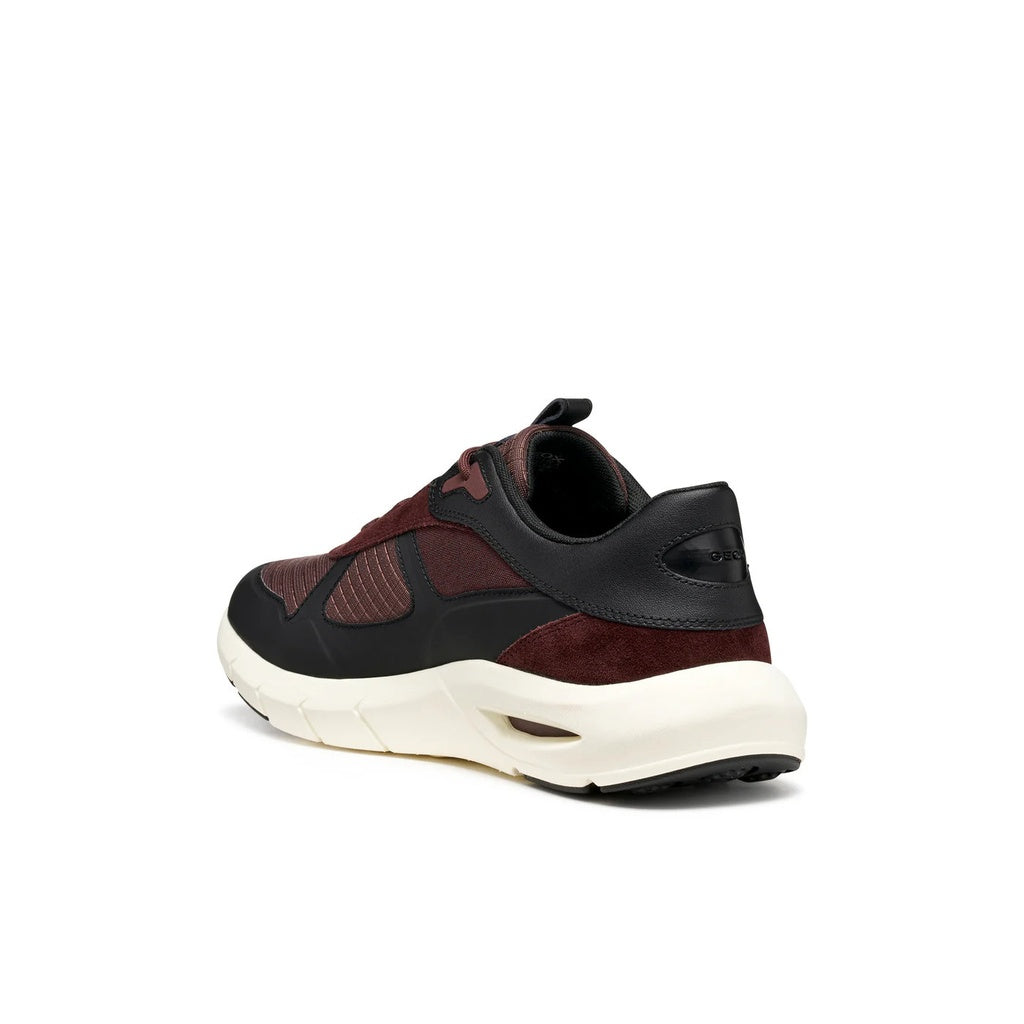 GEOX Spherica Ecub-5