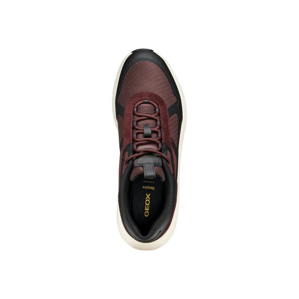 GEOX Spherica Ecub-5