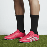 ADIDAS PREDATOR LEAGUE TF - Runner