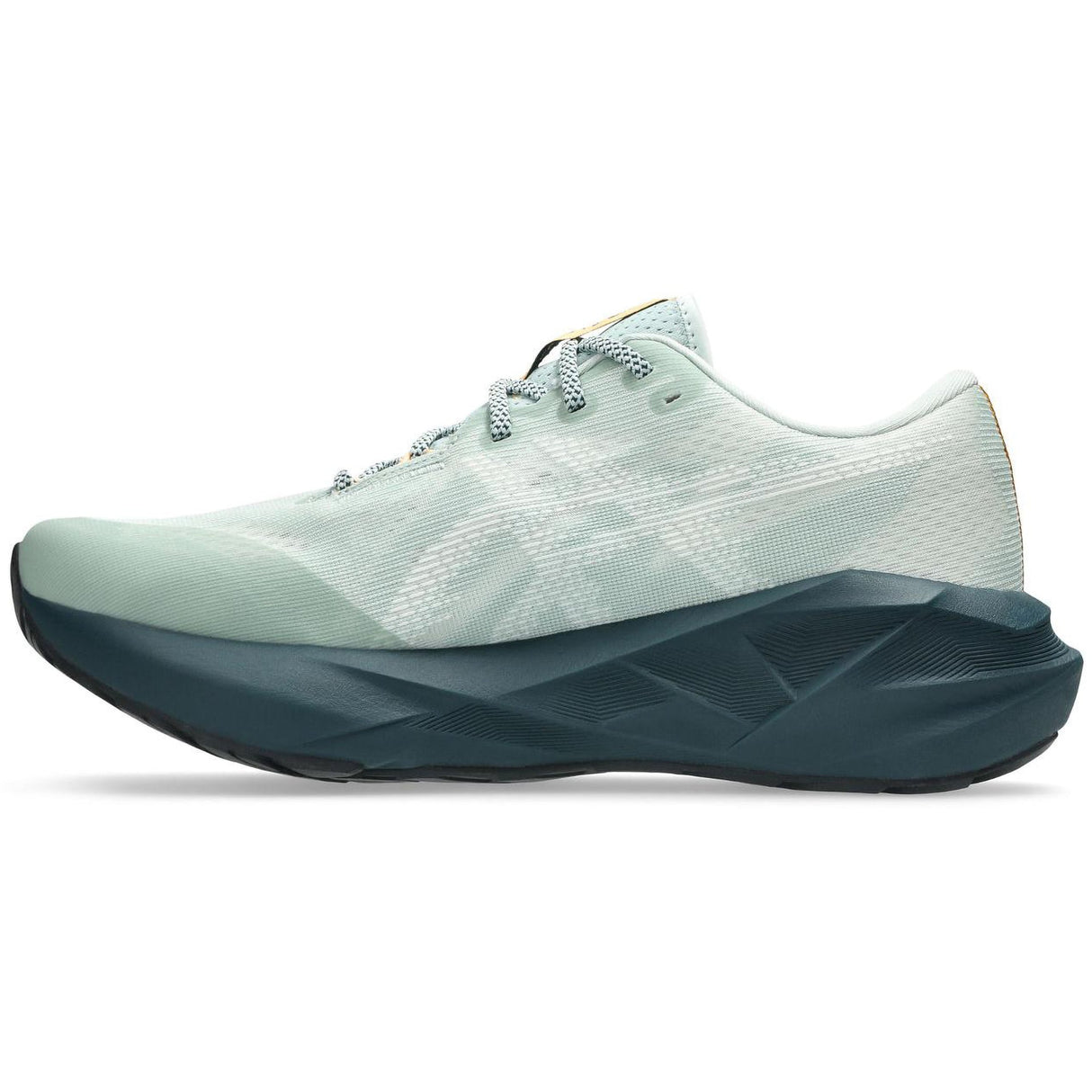 ASICS NOVABLAST 5 TR - Runner