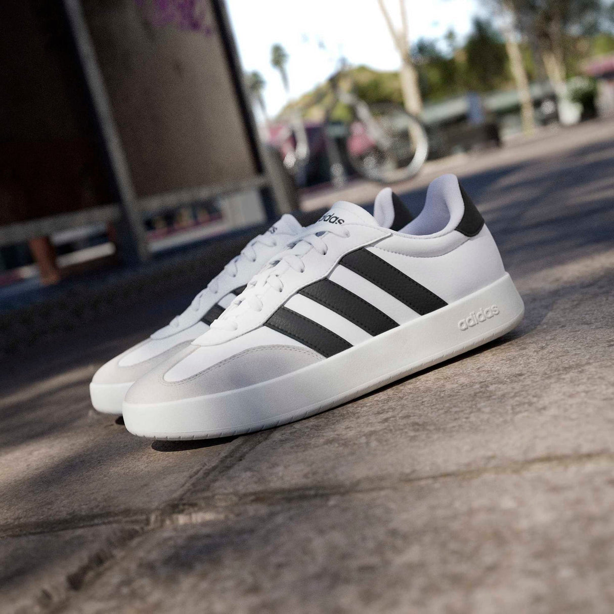 Barreda Shoes - Runner