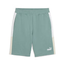 ESS BLOCK Shorts 10" - Runner
