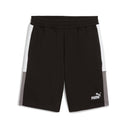 ESS BLOCK Shorts 10" - Runner