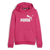 ESS Logo Hoodie TR G - Runner