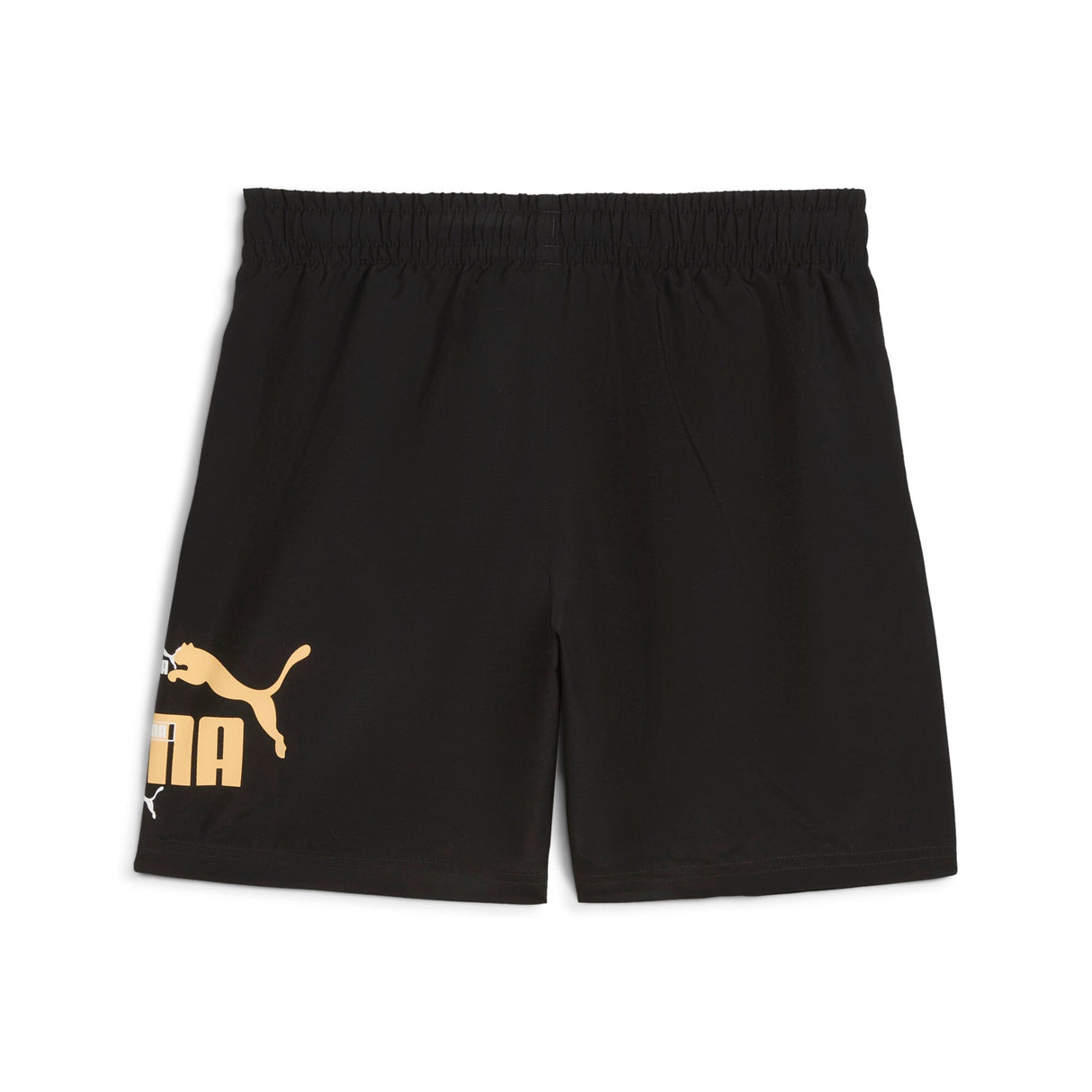 ESS LOGO LAB Summer - Runner