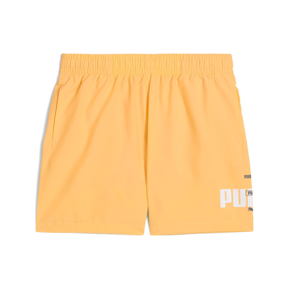 ESS LOGO LAB Summer - Runner