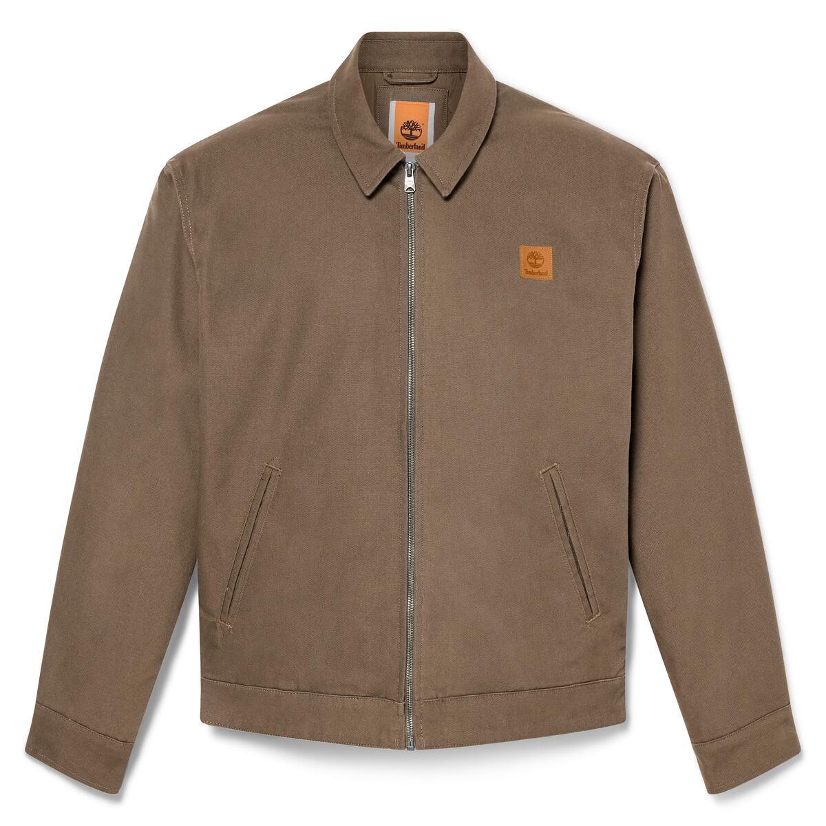 Hollis Insulated Canvas Jacket - Runner