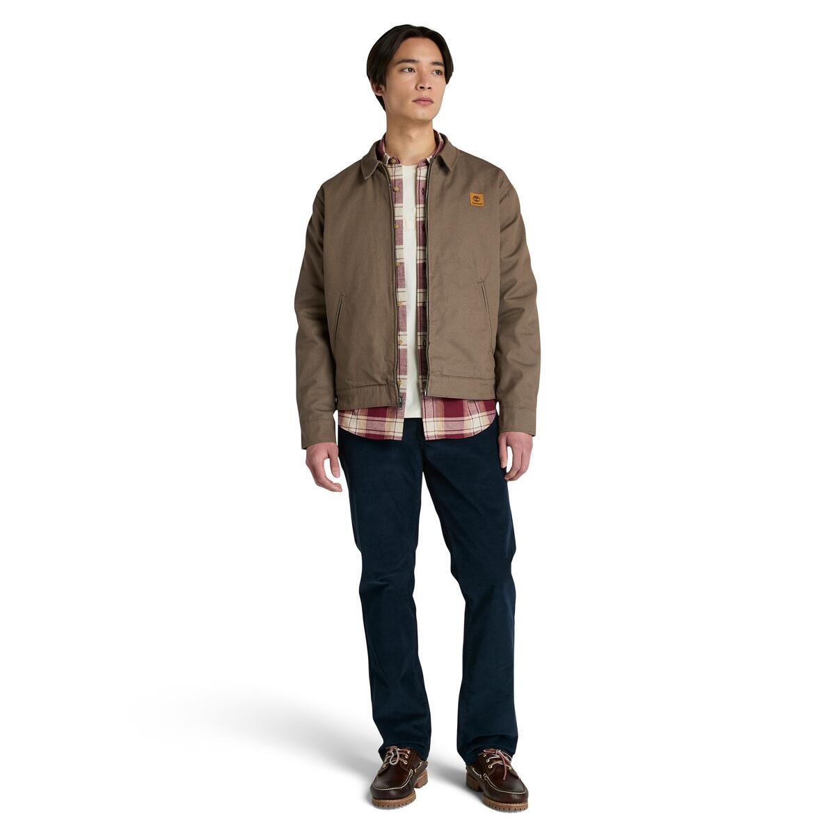 Hollis Insulated Canvas Jacket - Runner
