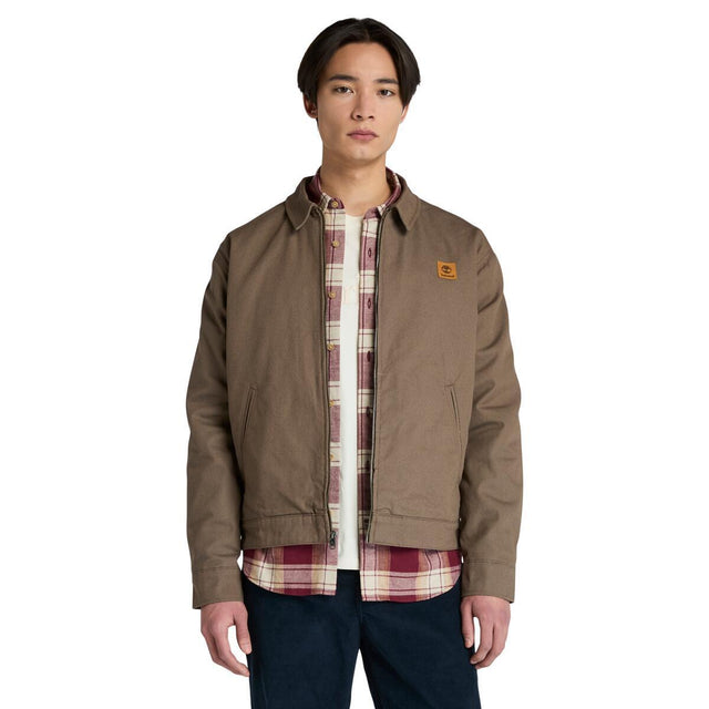 Hollis Insulated Canvas Jacket - Runner