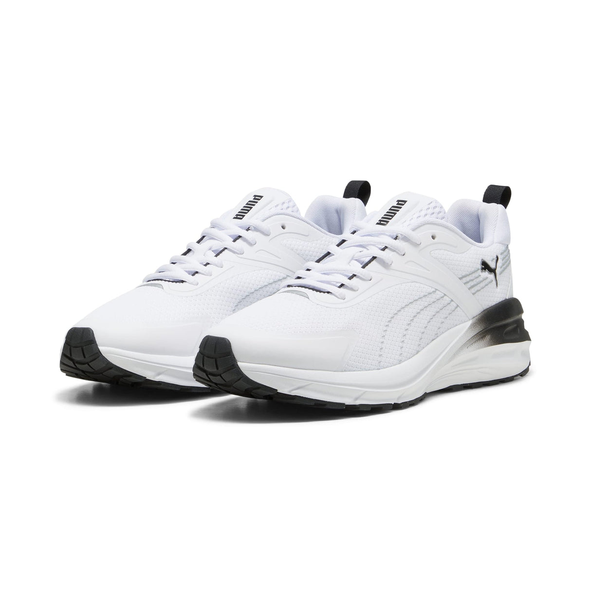Hypnotic Sneakers - Runner
