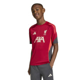 Liverpool FC Tiro 25 Competition Training Jersey - Runner
