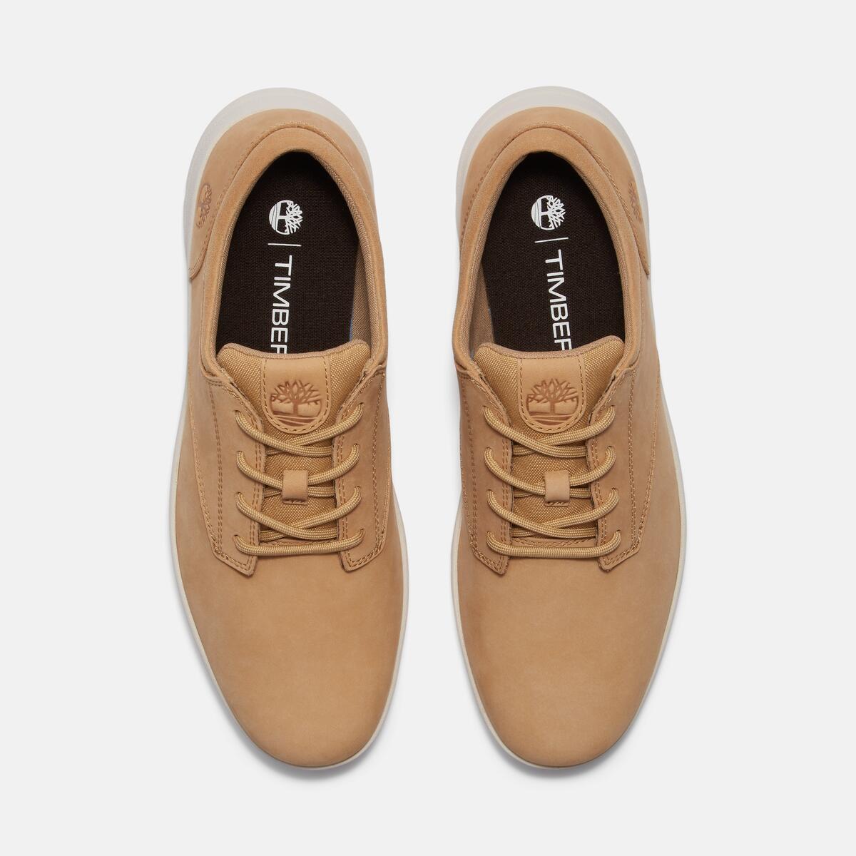 Parker Street Low Lace Up Sneaker - Runner