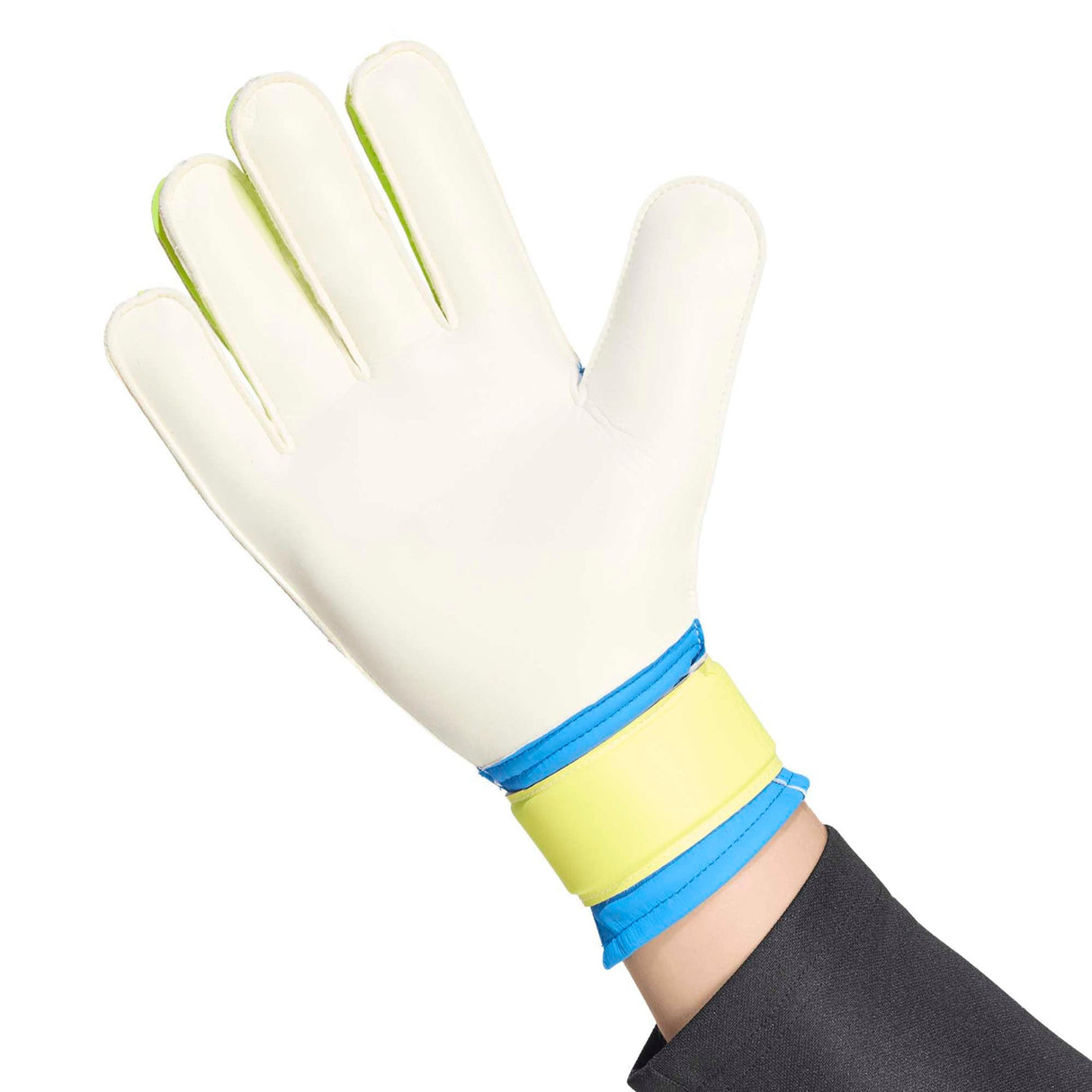 PREDATOR GOALKEEPER GLOVE TRAINING - Runner