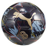 Pulisic Graphic Soccer Ball - Runner