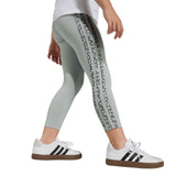 SEASONALS ANIMAL SET - Runner