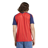 Spain 26 Home Jersey - Runner