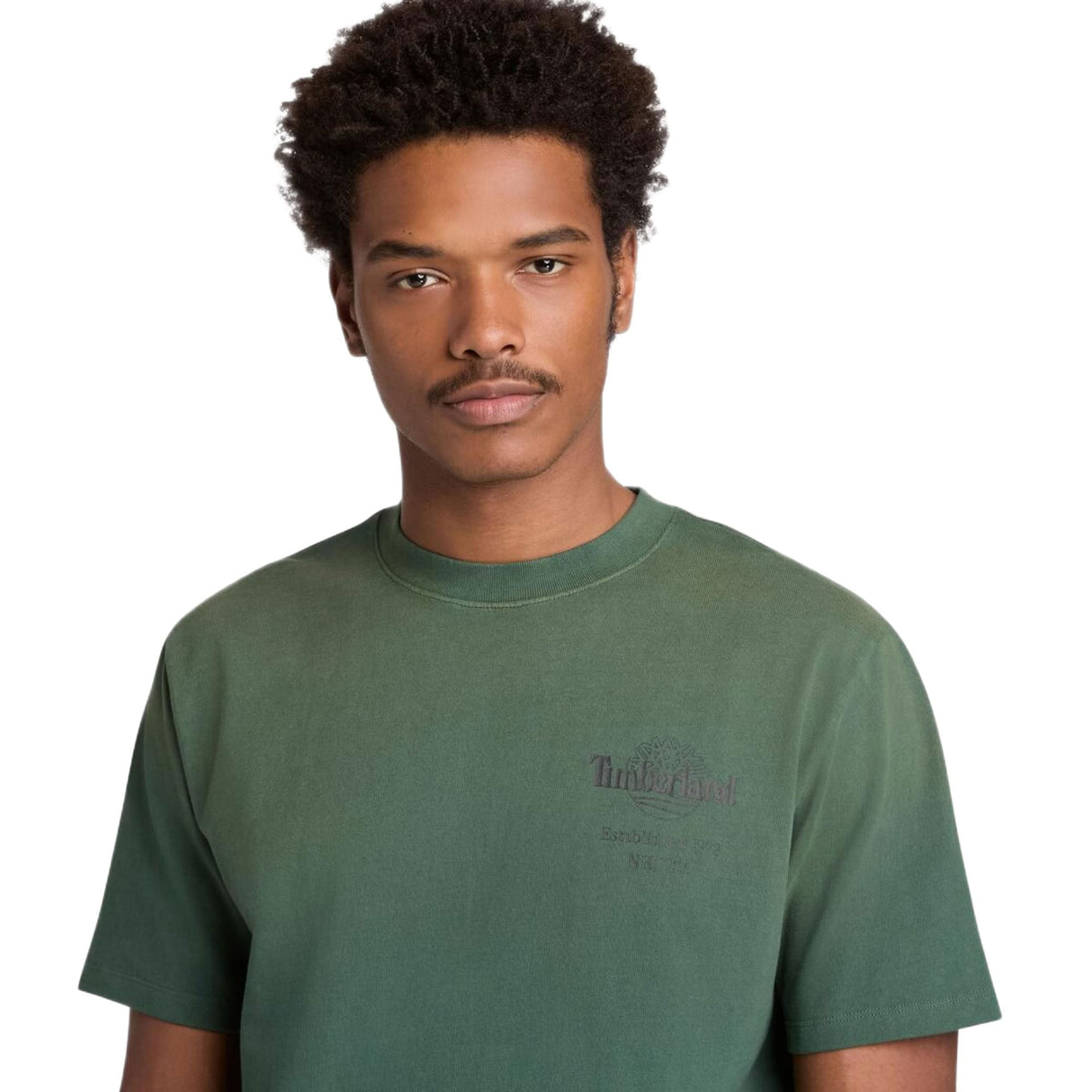 Sunfaded Back Tree Logo Graphic Hw Tee - Runner