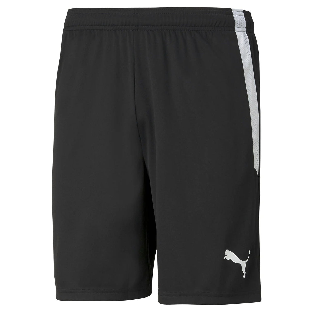 teamLIGA Shorts - Runner