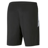 Teamliga Training Shorts - Runner