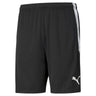 Teamliga Training Shorts - Runner